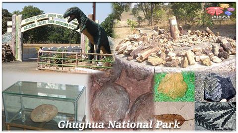 घुघुआ जीवाश्म नेशनल पार्क (Ghughuwa National Fossil Park)