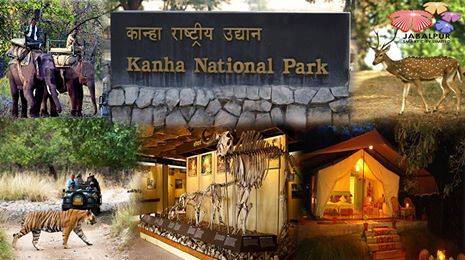 Places Near To Jabalpur - Kanha National Park